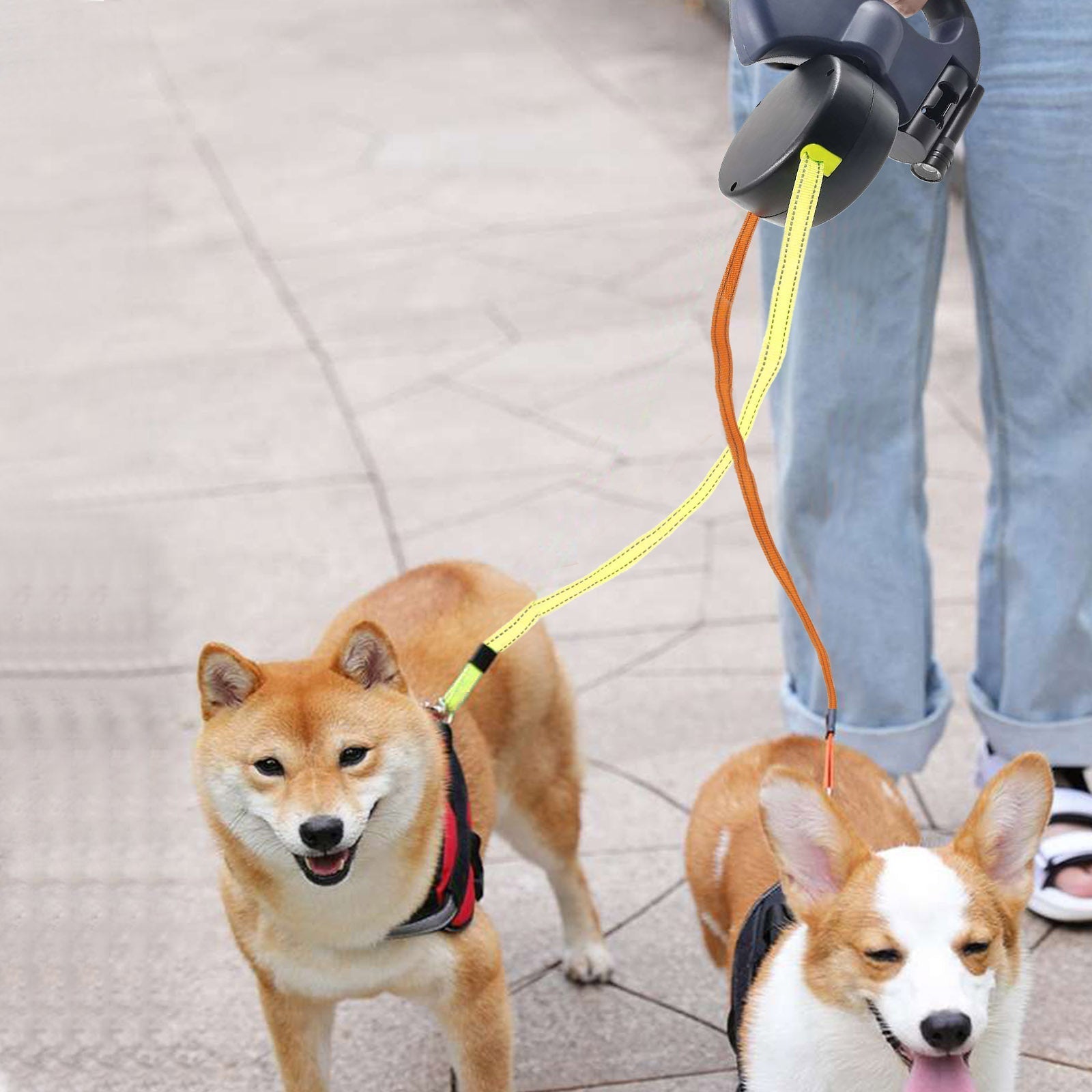 Double Dog Leash Retractable 3m LED Flashlight Color-Coded Controls