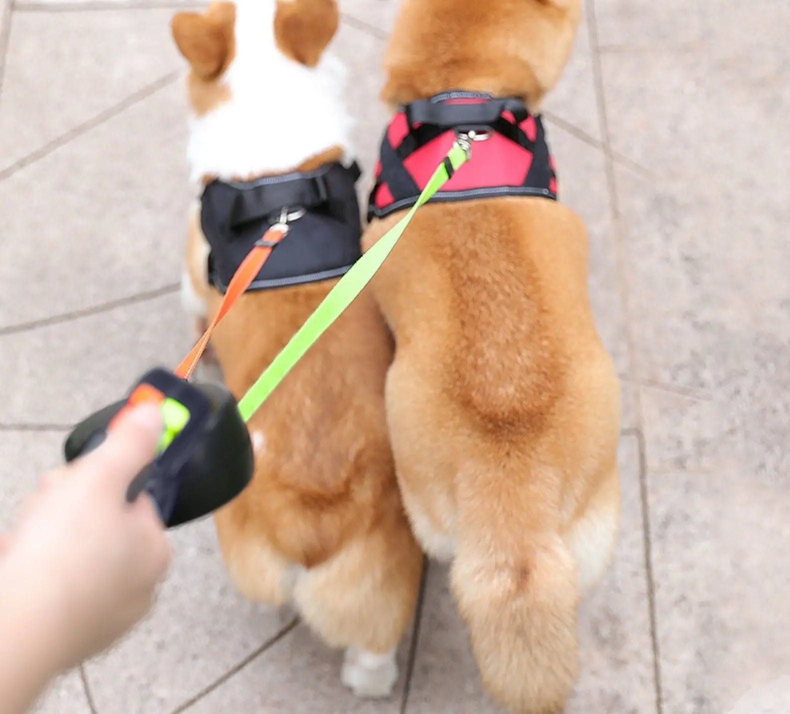 Double Retractable Leash LED & Reflective Ergonomic Handle