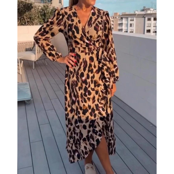 Dress Leopard Print V-Neck A-Line