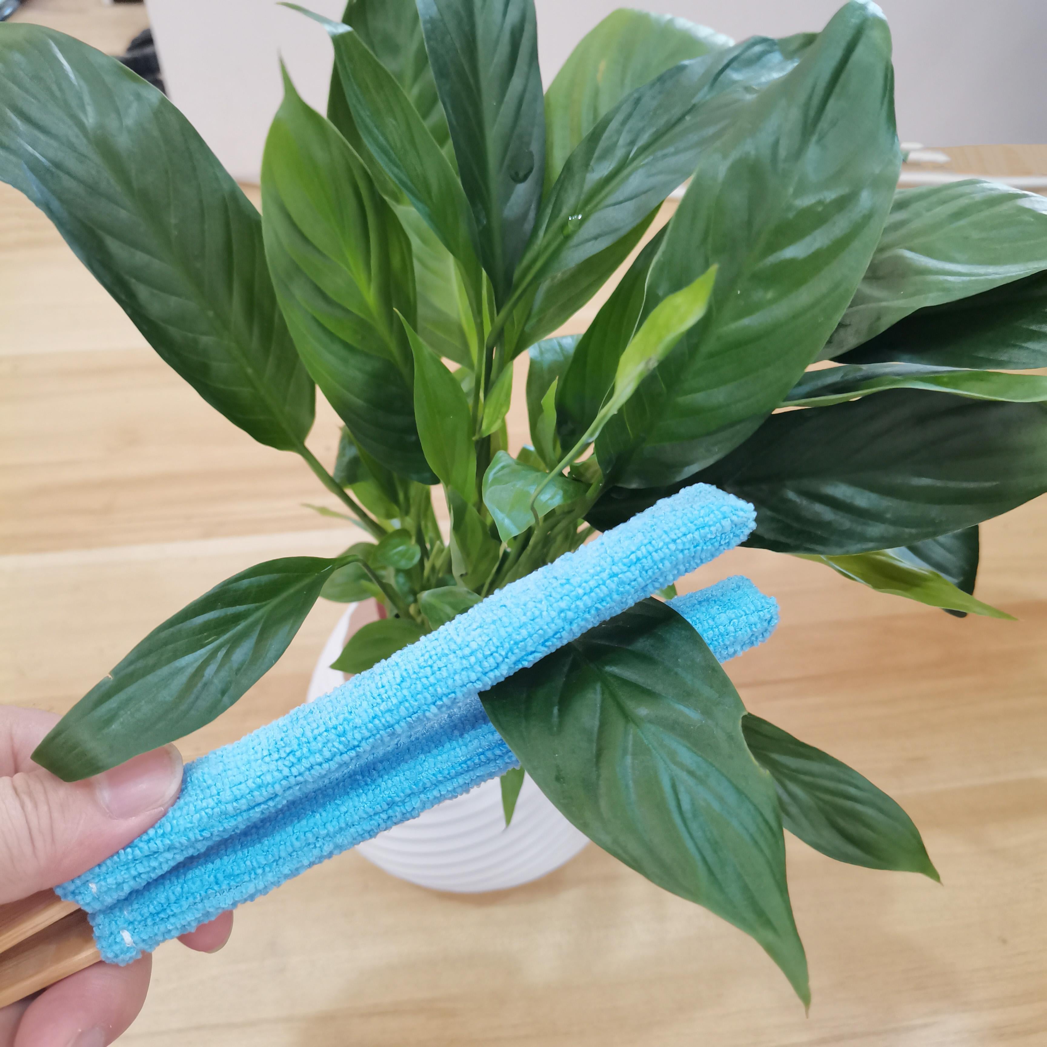 Dust Brush Microfiber Bristles Ergonomic Wooden Handle