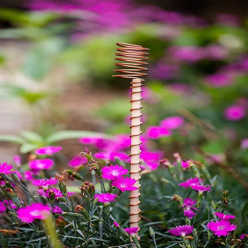 Electroculture Antennas Pure Copper Spiral Set of 5
