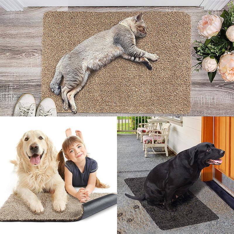 Entryway Doormat Nano-Absorbent Non-Slip Rubber Backing