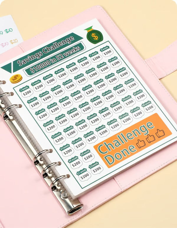 Envelope Savings Kit 100 Envelopes Reusable Tracker & A5 Folder