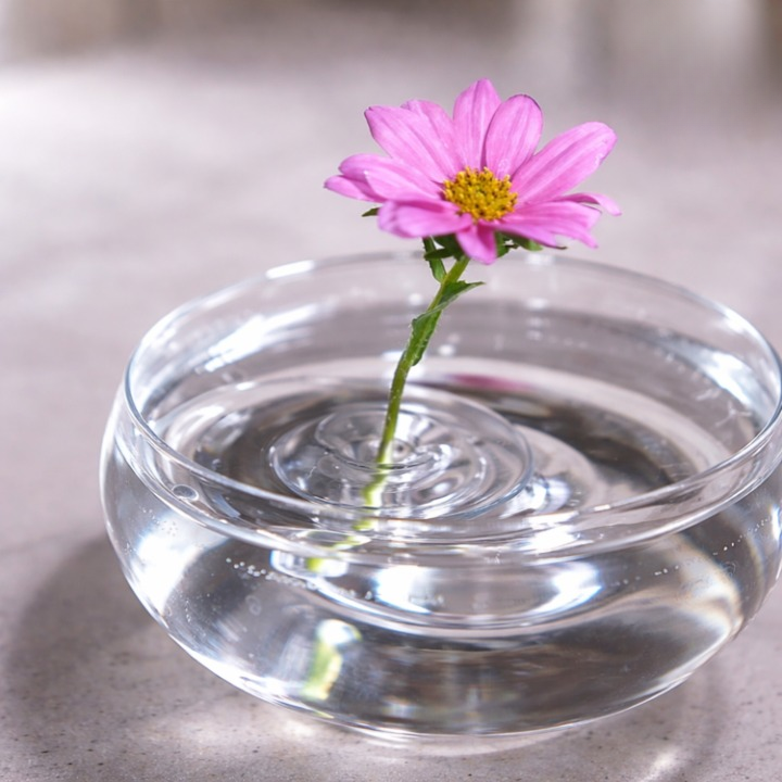 Floating Flower Holder Transparent Raised Edge Set of 10