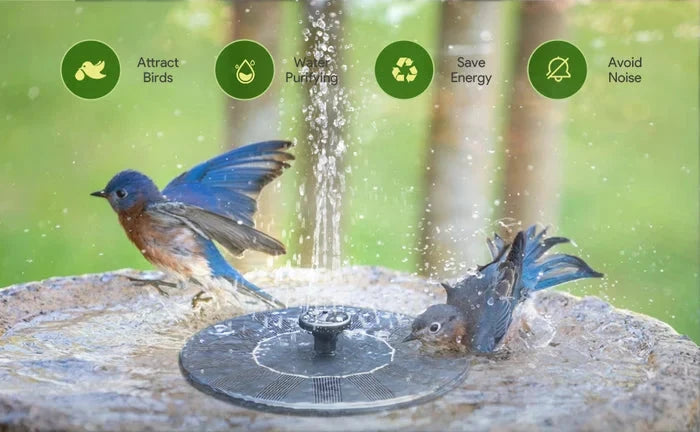 Floating Solar Fountain Solar-Powered Interchangeable Nozzles 12–20 In Spray