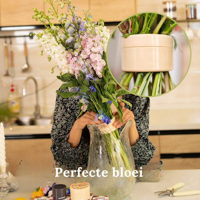 Flower Stem Holder Perforated Grid Waterproof Set of 2