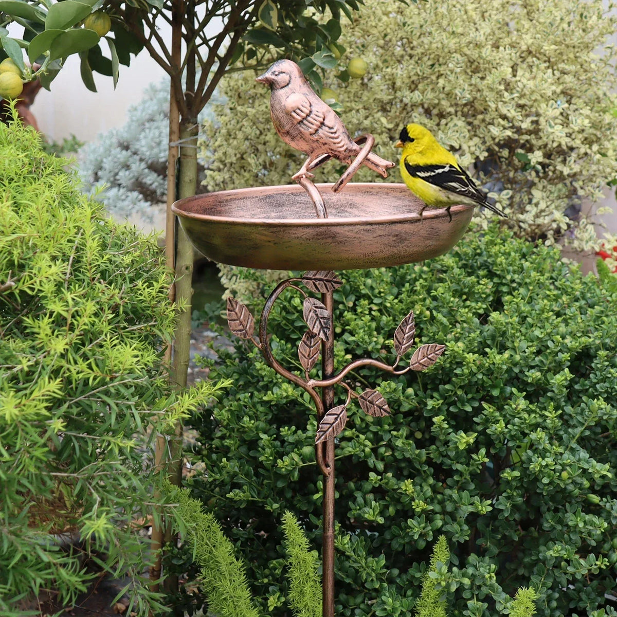 Garden Bird Bath Decorative Metal Ground Spike