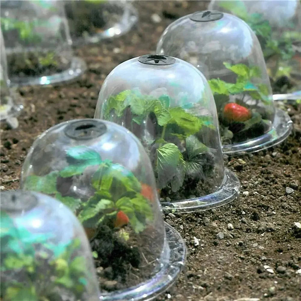 Garden Plant Cover Transparent Lightweight Frost Protection