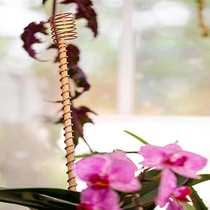 Garden Plant Stakes Pure Copper Weather-Resistant Set of 5