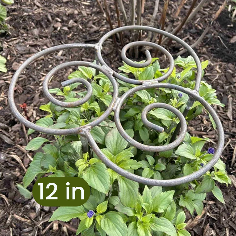 Garden Plant Support Decorative Scrollwork Supports Heavy Blooms
