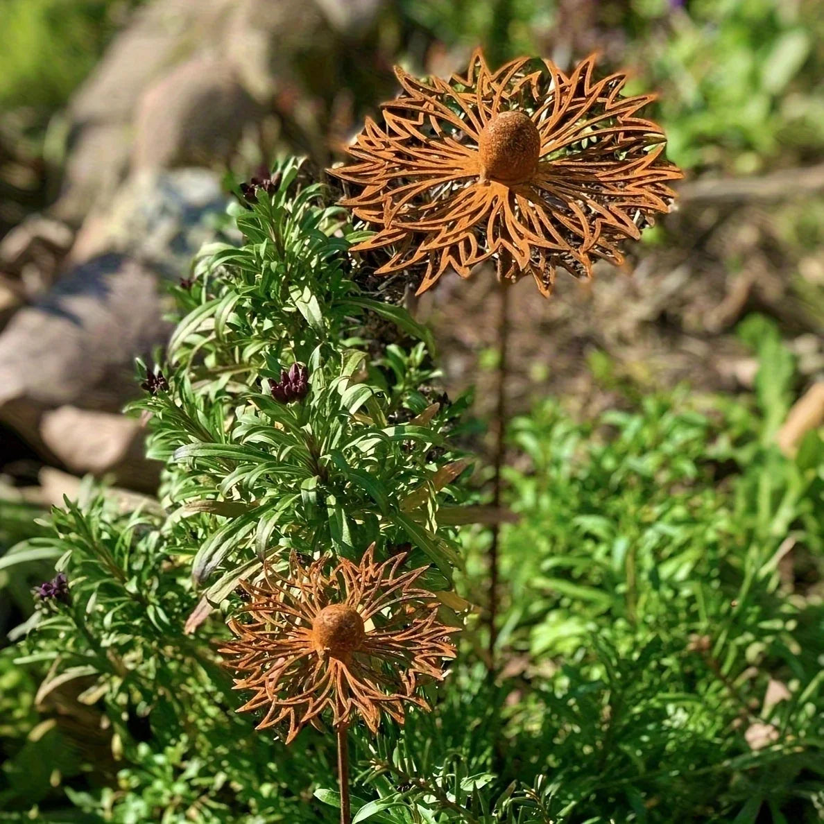 Garden Stake Iron Bluebonnet Flower Rust Patina