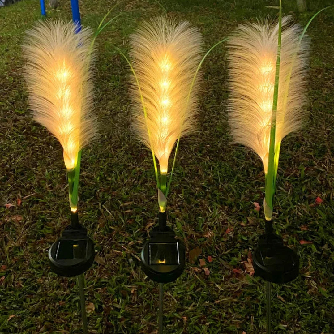 Garden Stake Lights Solar Pampas Grass Warm White LED