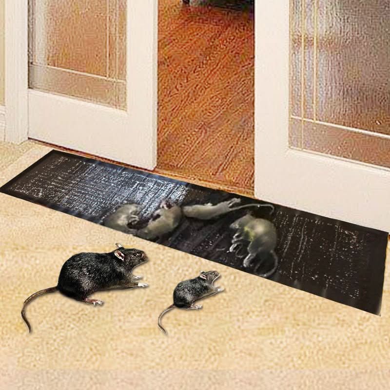 Glue Trap Extra Strong Adhesive Large Surface Non-Toxic