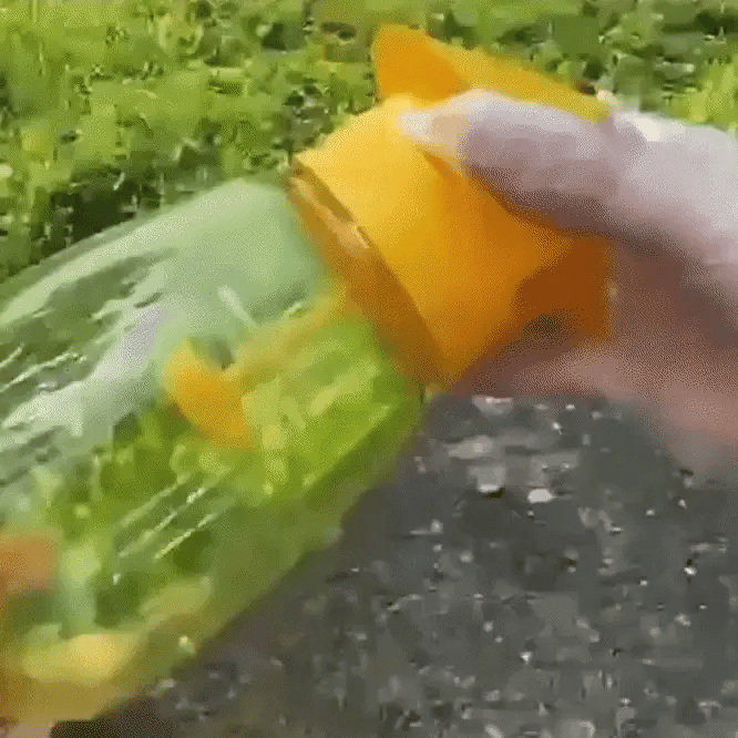 Hanging Insect Trap Fruit Fly & Wasp Attractant