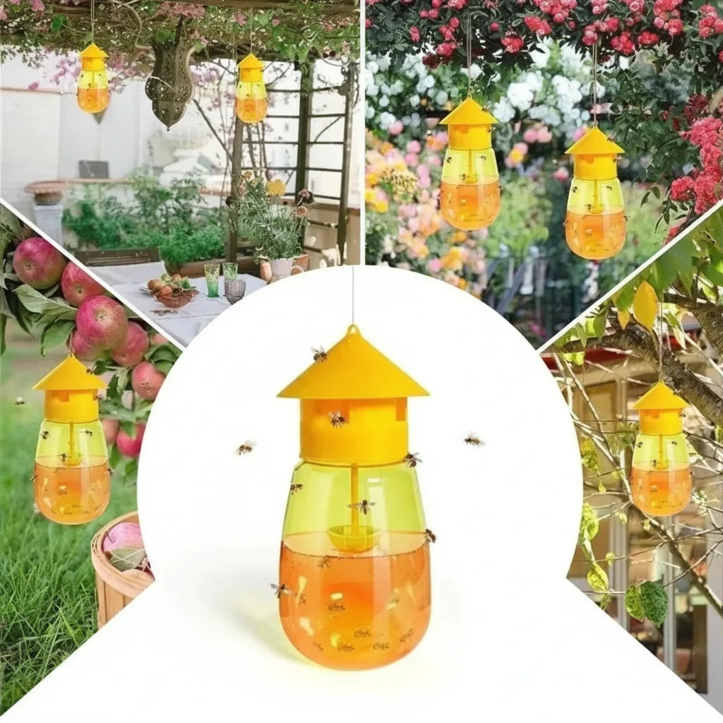 Hanging Insect Trap Fruit Fly & Wasp Attractant