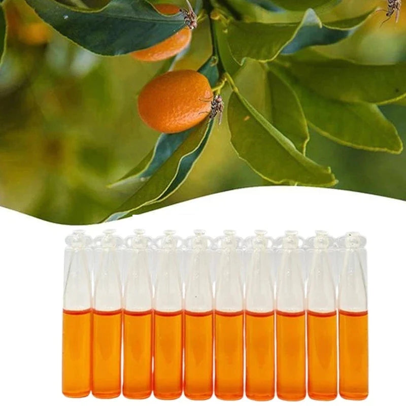 Hanging Insect Trap Fruit Fly & Wasp Attractant