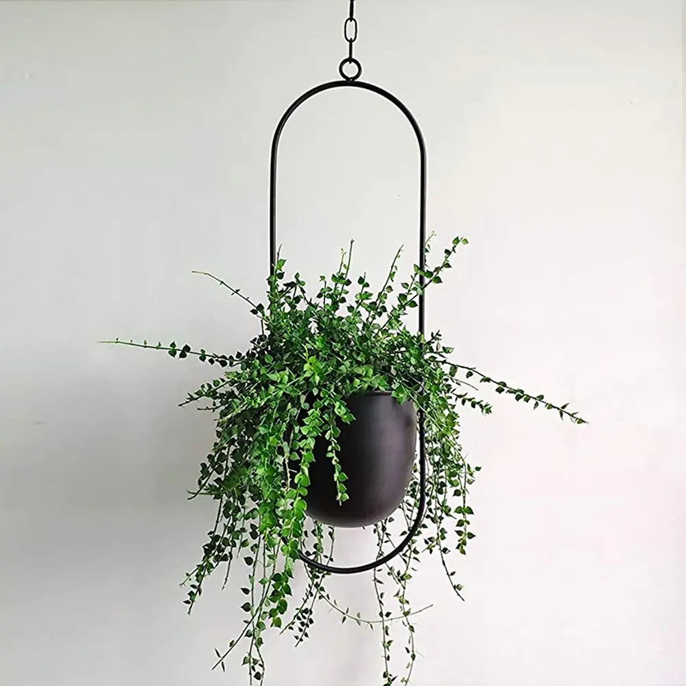 Hanging Plant Pot Iron Wall-Mounted Space-Saving