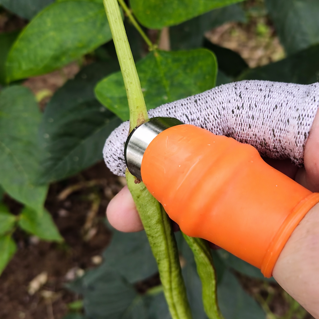 Harvesting Thumb Blades Curved Stainless Steel & Silicone Holder