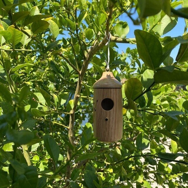 Hummingbird Feeder Natural Wood Precise Entry Hole