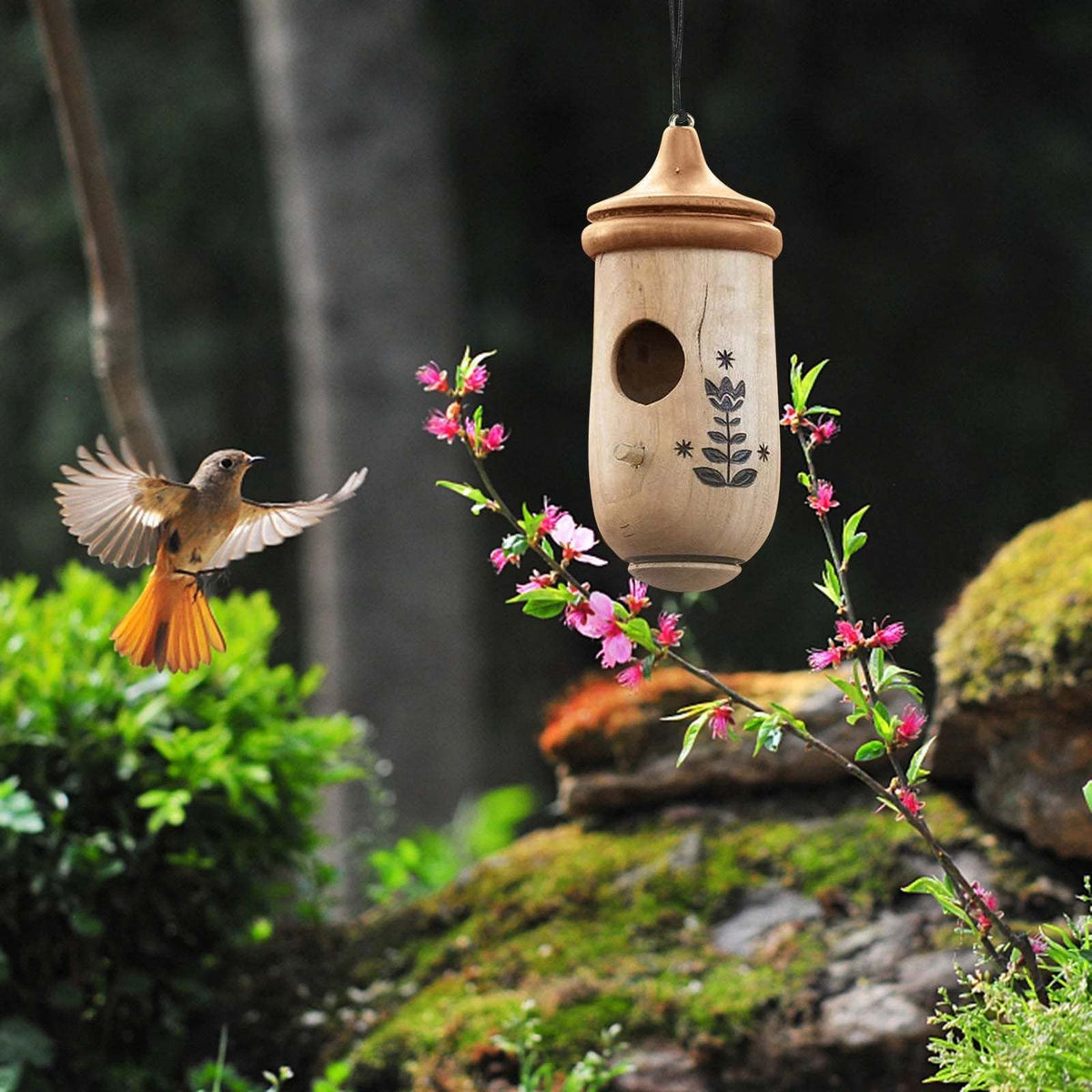 Hummingbird Feeder Natural Wood Precise Entry Hole