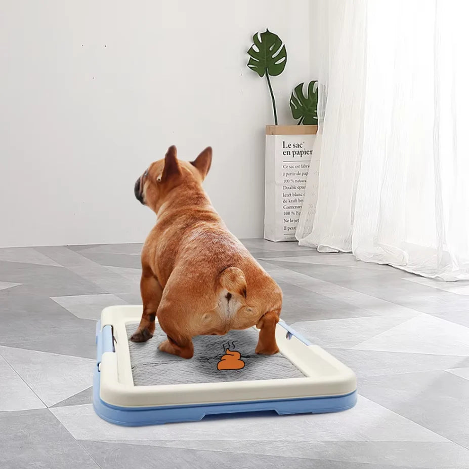 Indoor Dog Toilet Non-Slip Mat & Sturdy Frame Easy Clean