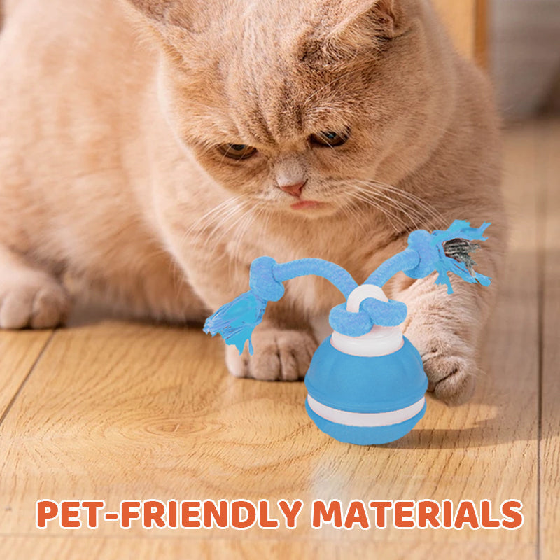 Interactive Cat Ball LED Light & Bird Sounds USB Rechargeable
