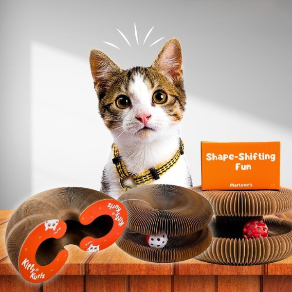Interactive Cat Toy Random Movement Pet-Safe Scratch-Resistant