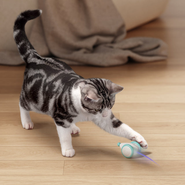 Interactive Cat Toy Self-Driving Laser Obstacle Detection & Self-Righting