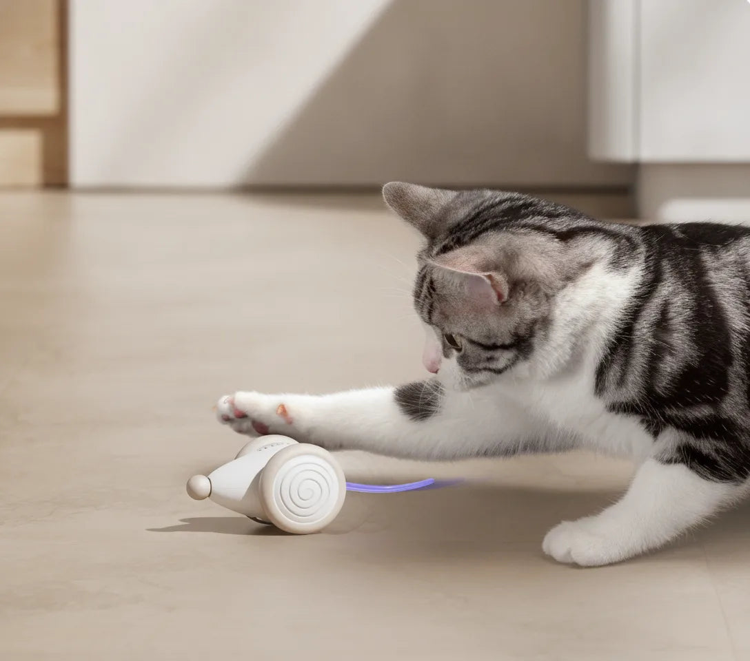 Interactive Cat Toy Self-Driving Laser Obstacle Detection & Self-Righting