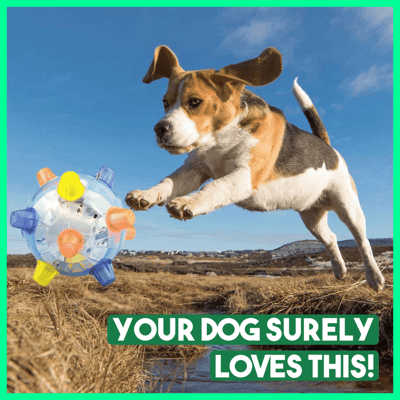 Interactive Dog Ball Automatic Jumping LED & Sound