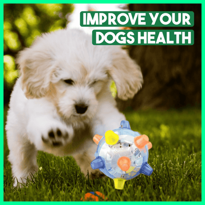 Interactive Dog Ball Automatic Jumping LED & Sound