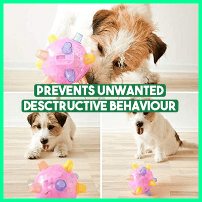 Interactive Dog Ball Automatic Jumping LED & Sound