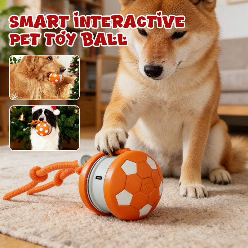 Interactive Dog Ball Touch-Activated Chew-Resistant USB-C Rechargeable