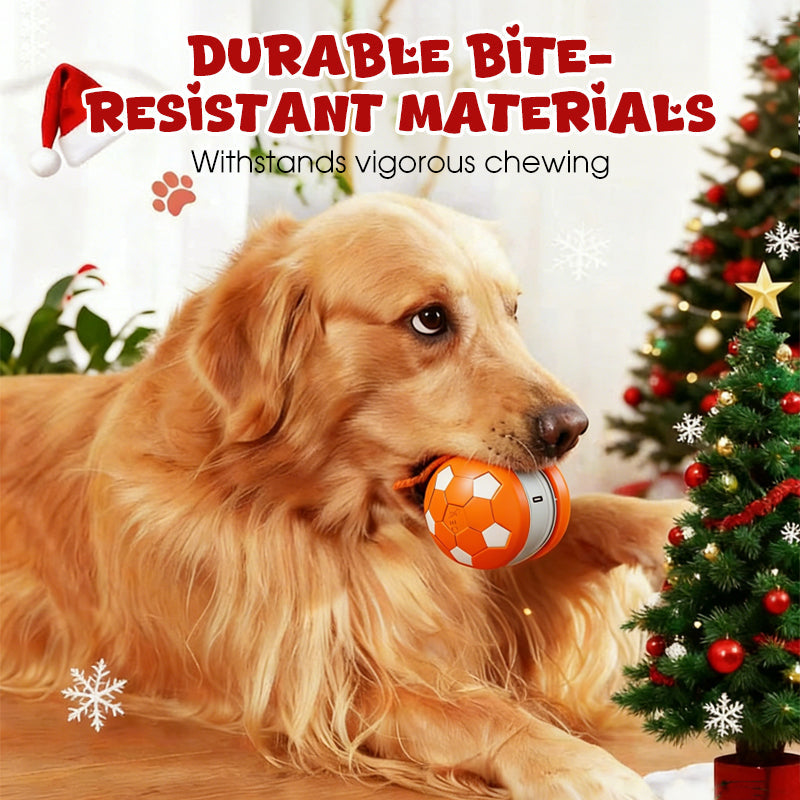 Interactive Dog Ball Touch-Activated Chew-Resistant USB-C Rechargeable