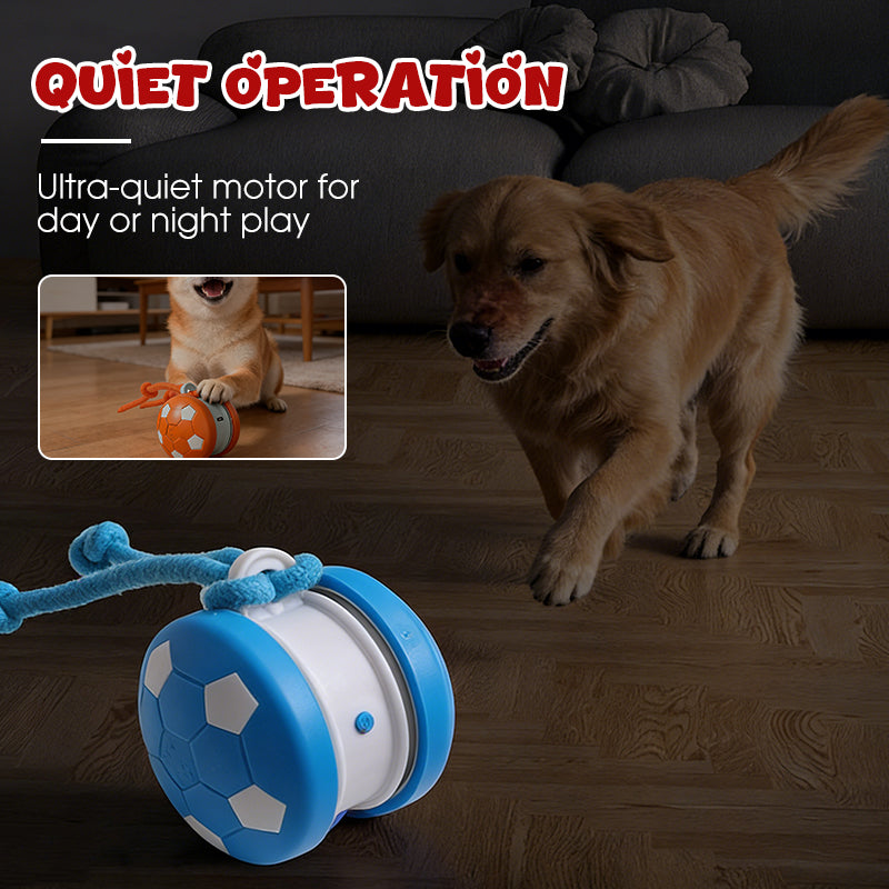 Interactive Dog Ball Touch-Activated Chew-Resistant USB-C Rechargeable