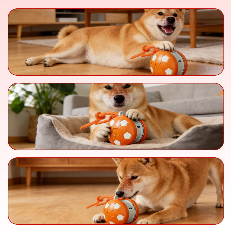 Interactive Dog Ball Touch-Activated Chew-Resistant USB-C Rechargeable