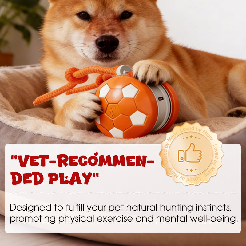 Interactive Dog Ball Touch-Activated Chew-Resistant USB-C Rechargeable