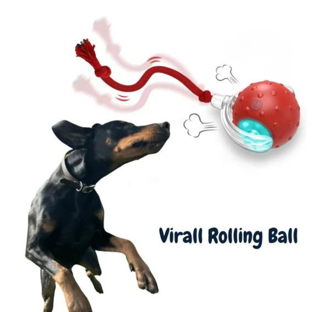 Interactive Dog Toy Self-Rolling Durable Non-Toxic Plastic