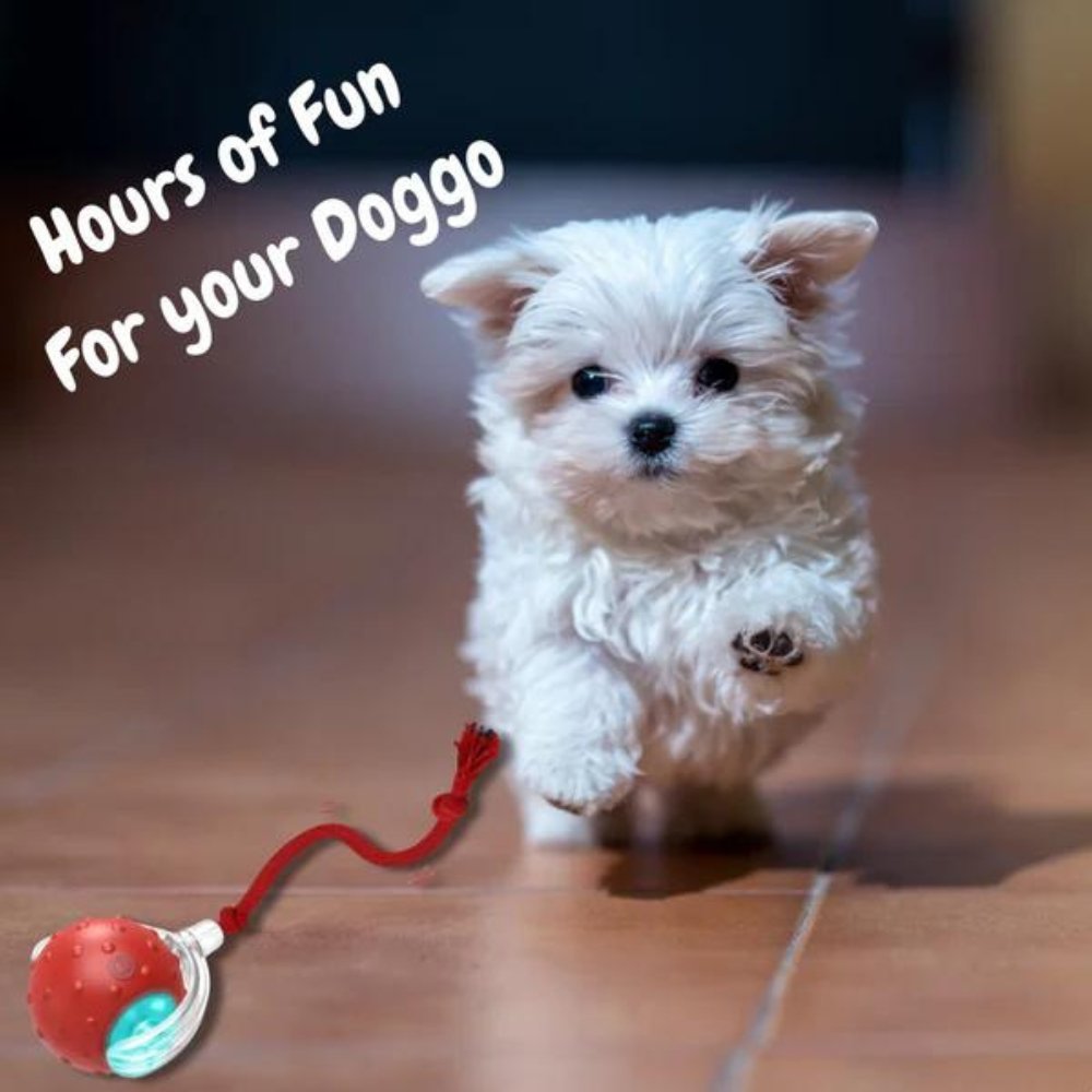 Interactive Dog Toy Self-Rolling Durable Non-Toxic Plastic