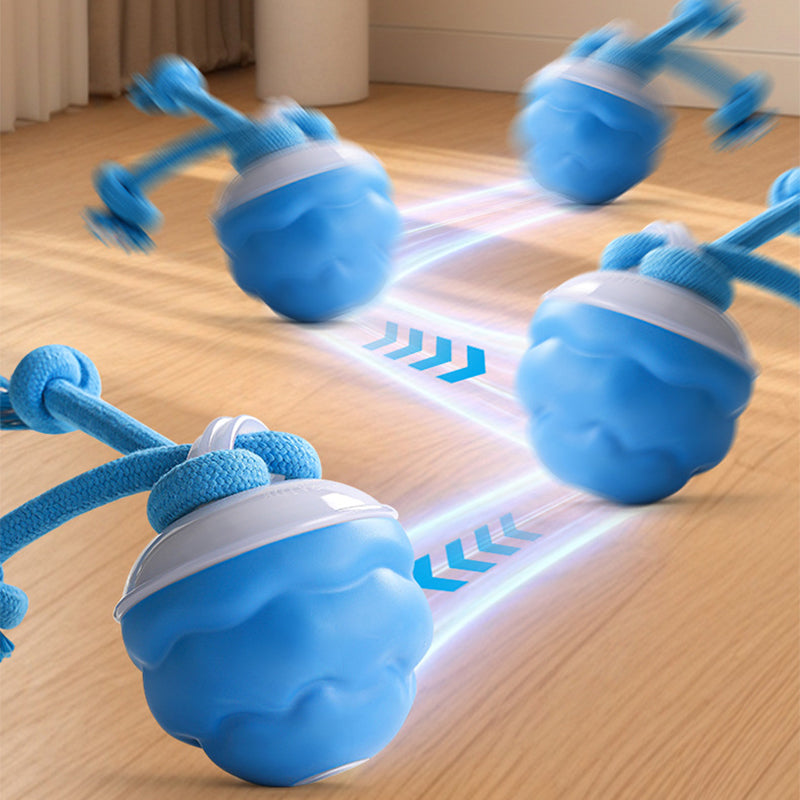 Interactive Dog Toy Sound-Activated & LED Obstacle Avoidance