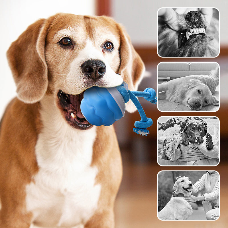 Interactive Dog Toy Sound-Activated & LED Obstacle Avoidance