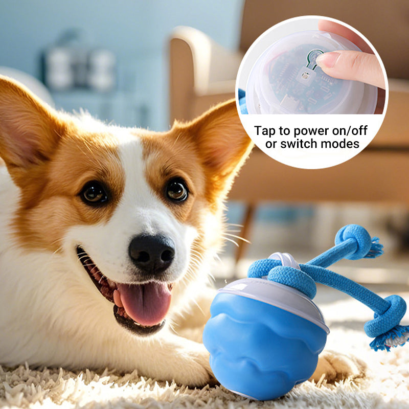 Interactive Dog Toy Sound-Activated & LED Obstacle Avoidance