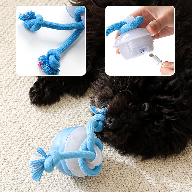 Interactive Dog Toy Sound-Activated & LED Obstacle Avoidance