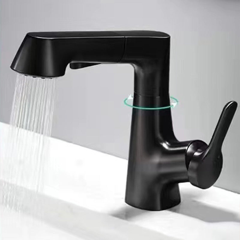 Kitchen Faucet Pull-Out Spray 360 Degree Swivel Ceramic Cartridge