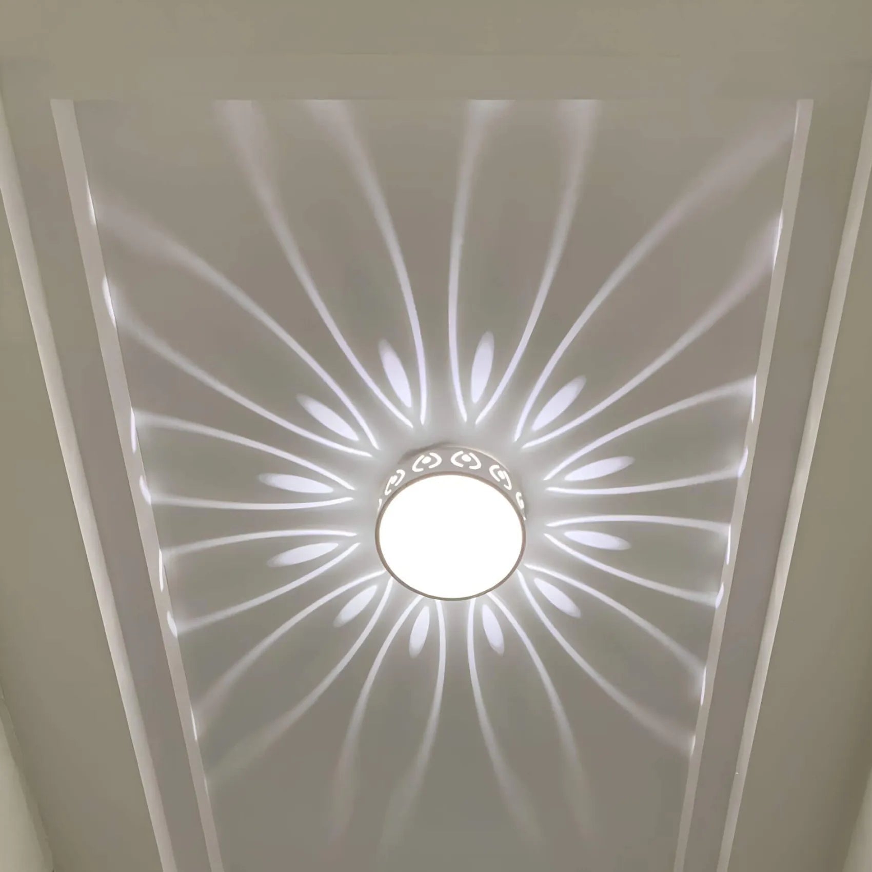LED Ceiling Light Crystal Acrylic Selectable Warm & Cool White
