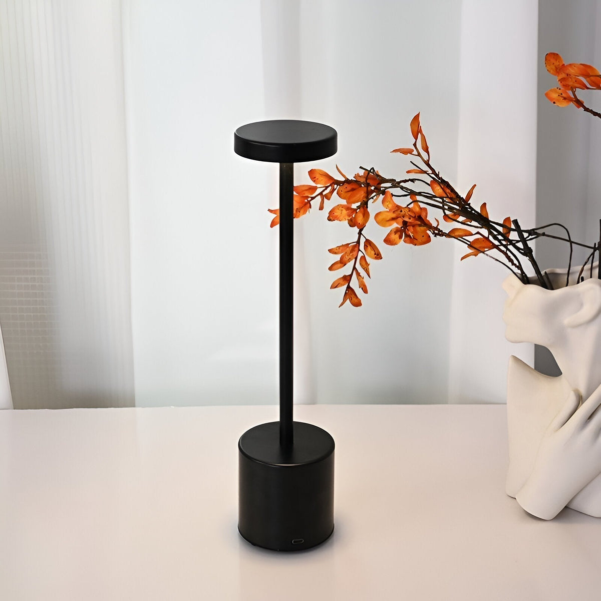 LED Desk Lamp Wireless Charging & USB Rechargeable