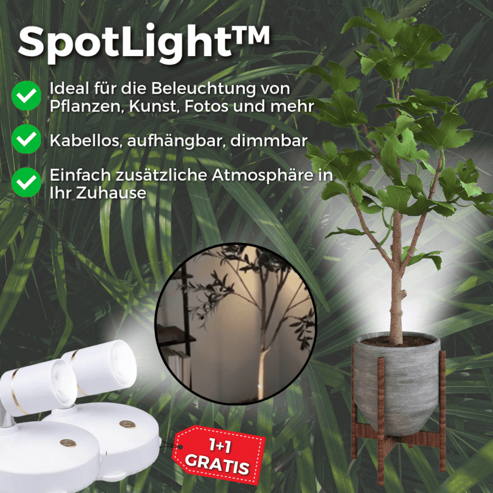 LED Spotlight Battery Powered Dimmable Remote & Timer