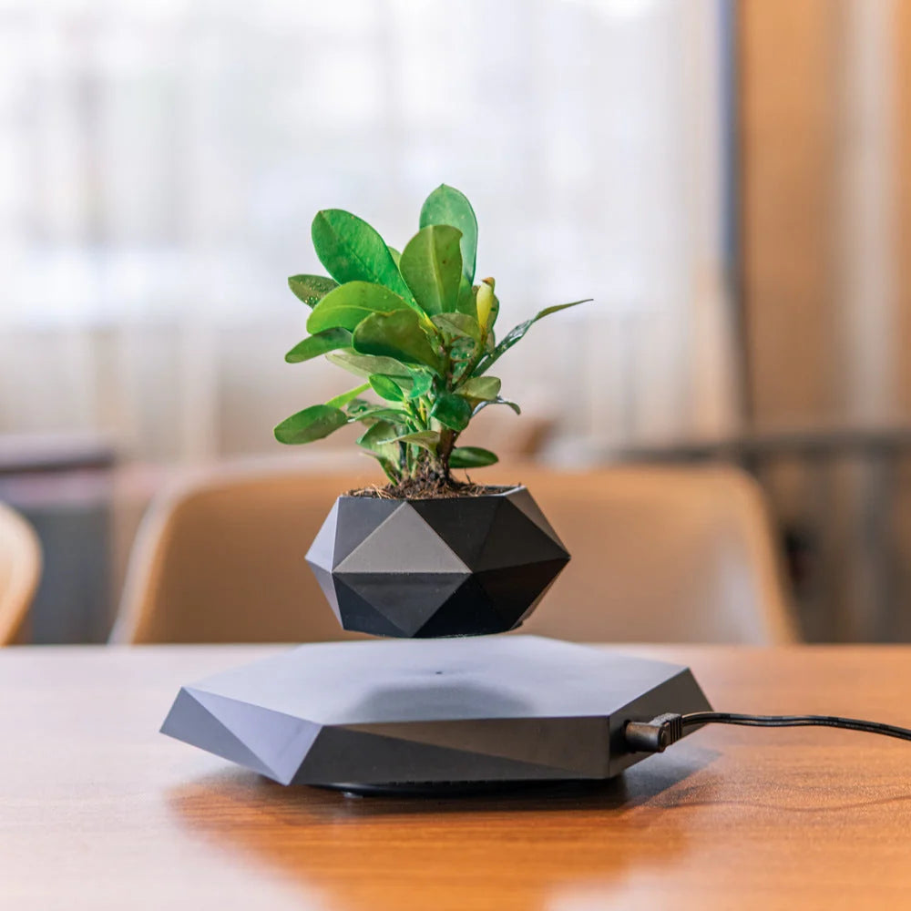Levitating Planter Magnetic Levitation 360° Rotation