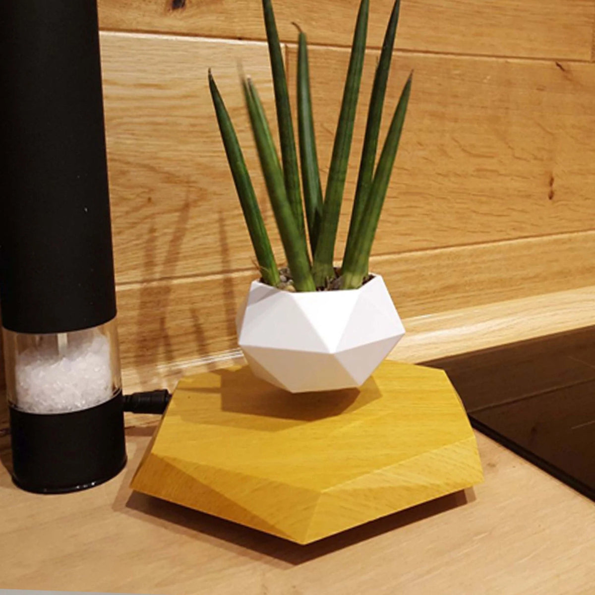 Levitating Planter Magnetic Levitation 360° Rotation