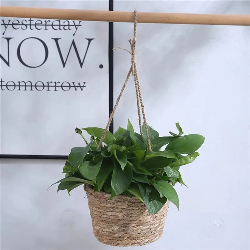 Macrame Plant Hanger Jute Cotton Rope Space-Saving